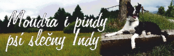 Banner, který Indirce pro její rubriku v Šíleném šupleti vytvořila Katty
